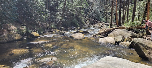 Escaping the Heat in the Cool and Amazing Nine Times Creek